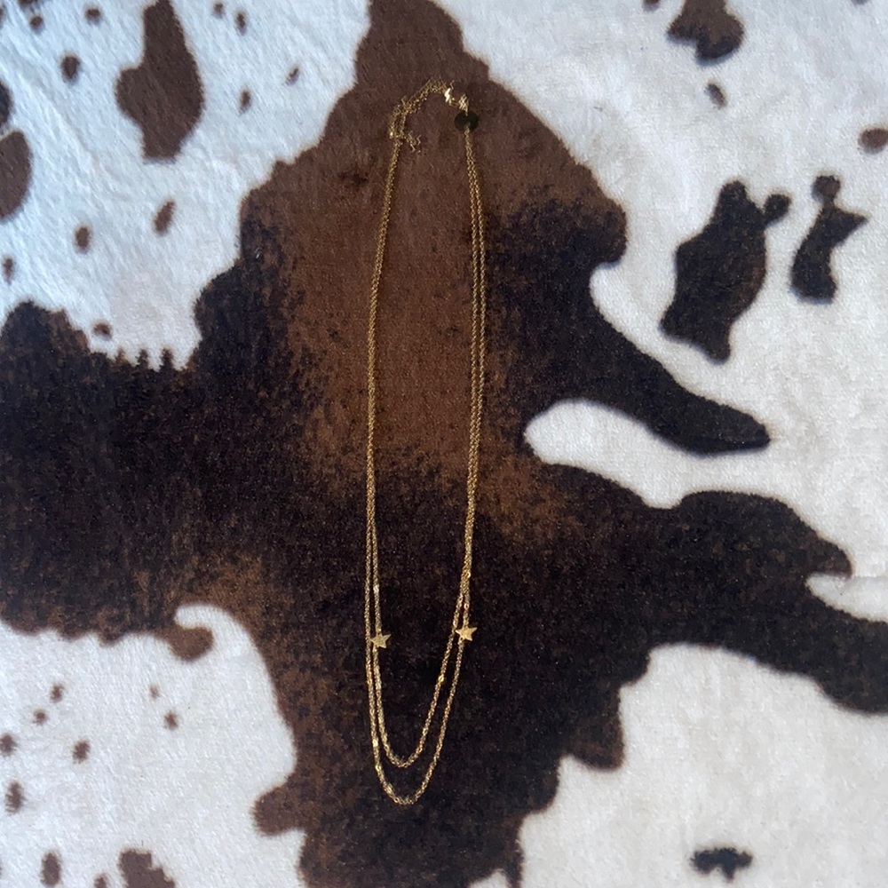 double lined star necklace
